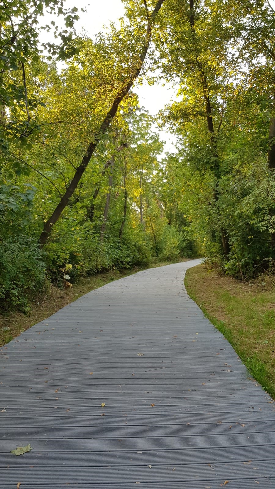 City of Mississauga boardwalk with HAHN commercial footpath planks